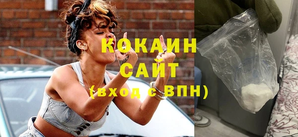 дурь Алзамай