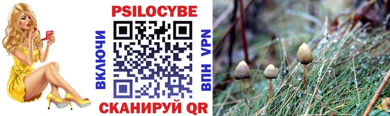 Псилоцибиновые грибы Cubensis  закладки  Петрозаводск 